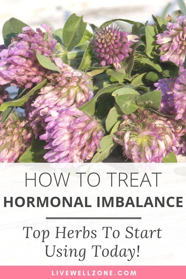 How to Treat Hormonal Imbalance Top Herbs To Use Live Well Zone