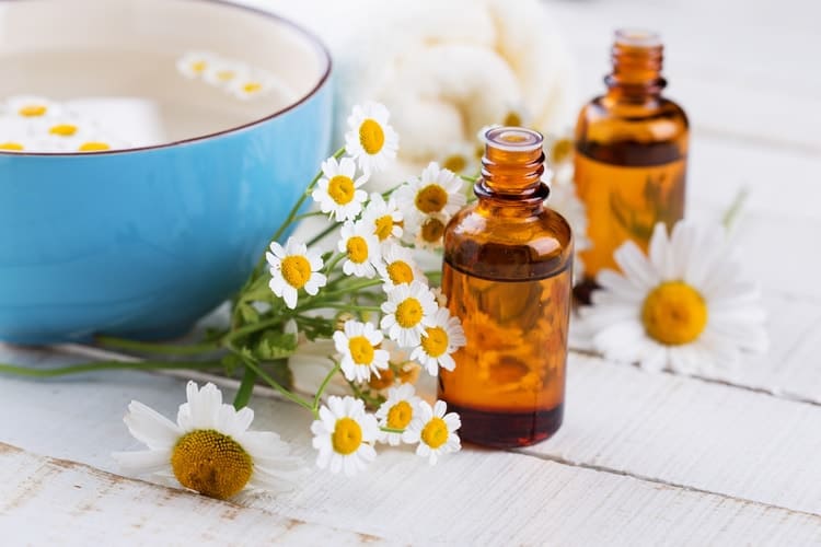 best menopause essential oils roman chamomile