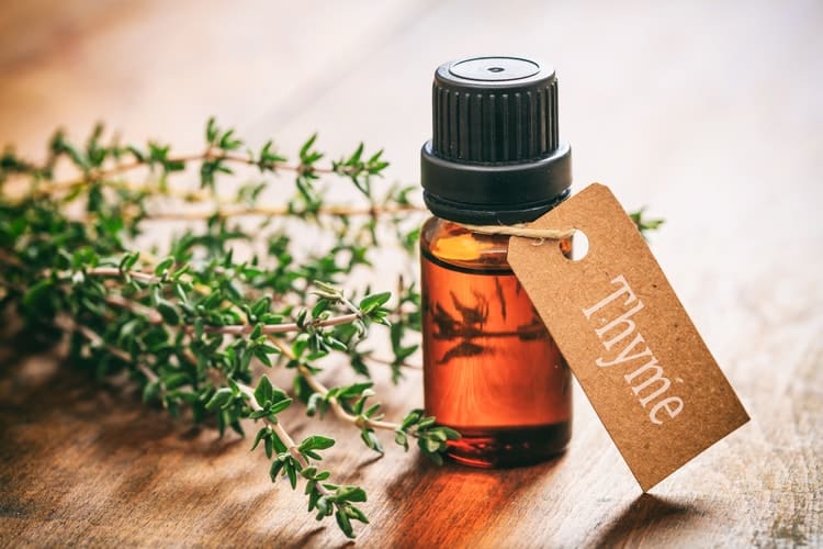 best menopause essential oils thyme