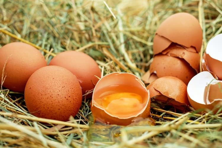 causes of high estrogen levels eggs