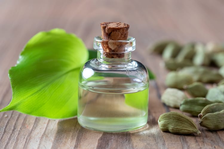 essential oils for nausea cardamom