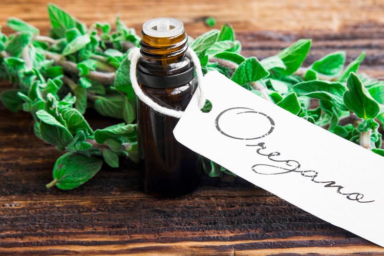 essential oils to avoid during pregnancy