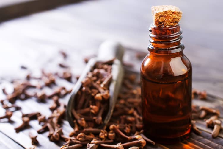 how to use thieves oil for sore throat pain clove