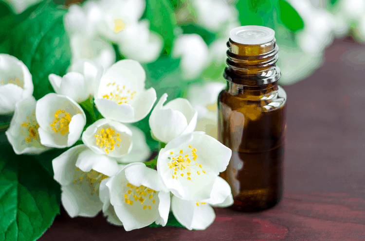 jasmine oil essential oil recipe for hot flashes