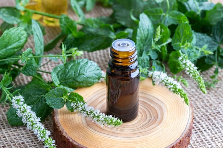 peppermint oil