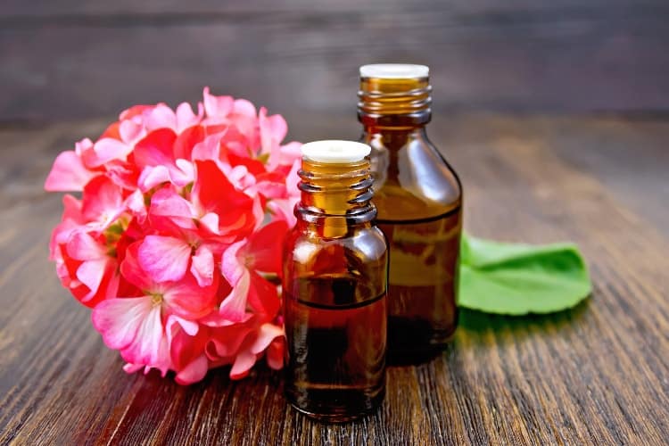 geranium essential oil for pcos