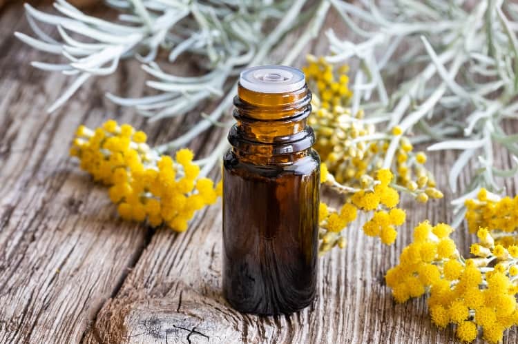 benefits of panaway essential oil for menstrual cramps helichrysum