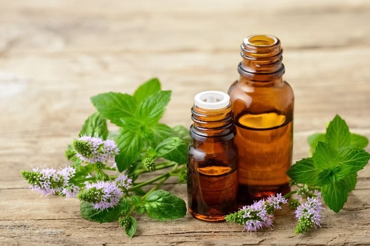 bottles of peppermint oil and fresh mint