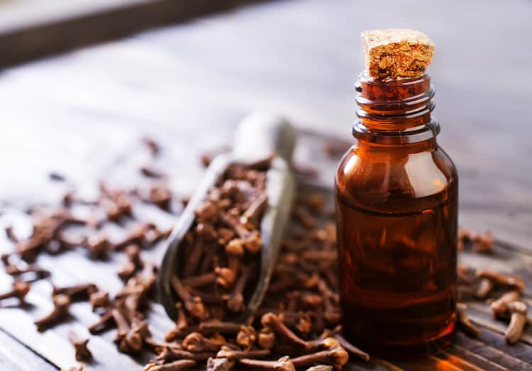 clove oil and spice