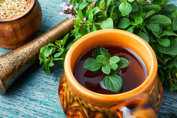 Marjoram For PCOS: Tea & Essential Oil Benefits (+ How To Use)