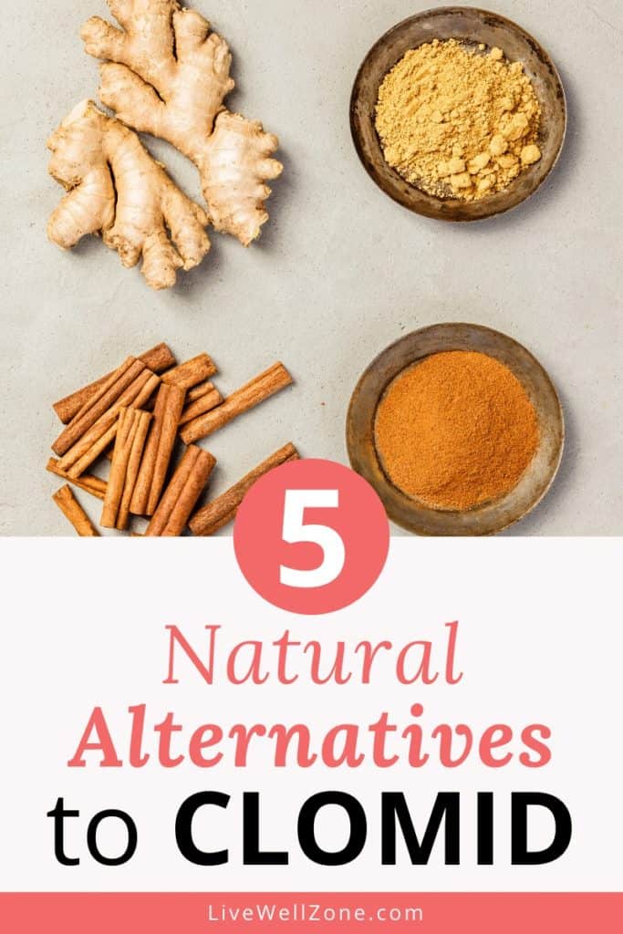 ginger and cinnamon as natural clomid replacements 