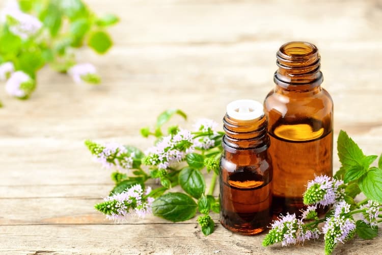 peppermint oil for menstrual cramps