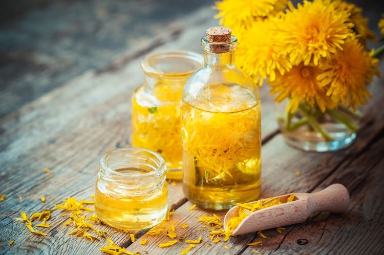 reverse estrogen dominance naturally with dandelion tincture