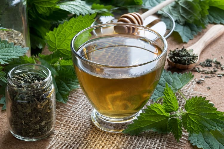 nettle tea for hormone balance