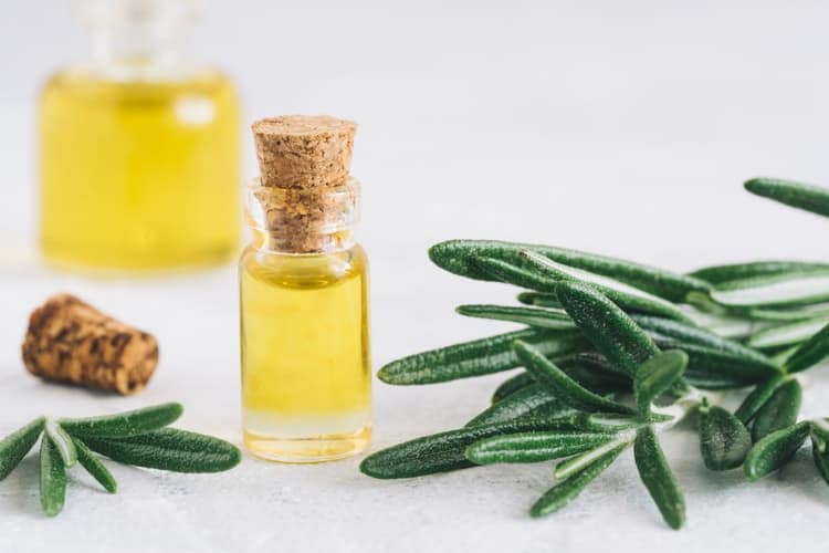 rosemary oil