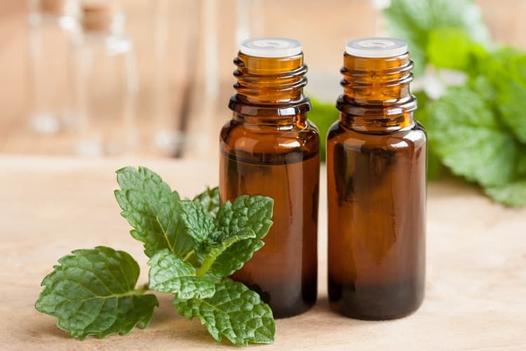 sore throat essential oils peppermint