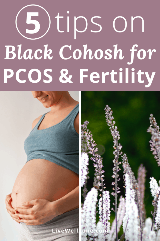 black cohosh for pcos dosage