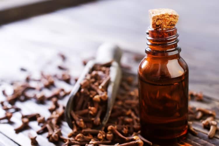 clove oil for menstrual pain