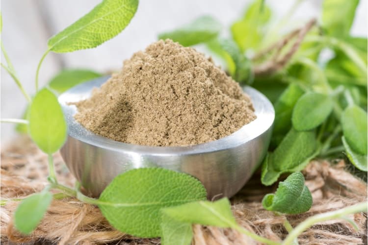 sage leaf benefits for menopause bone health