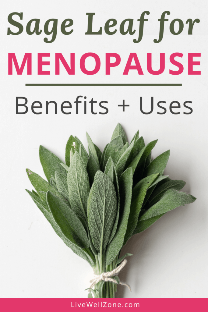 fresh sage leaf for menopause relief