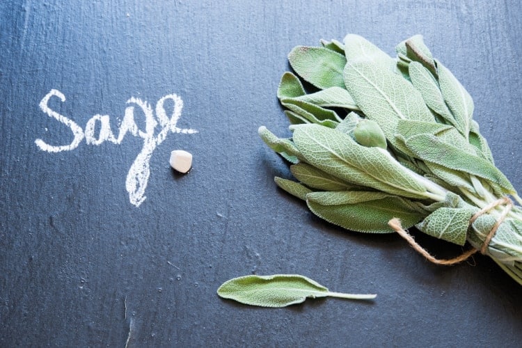 7 Amazing Benefits and Uses of Sage Leaf For Menopause