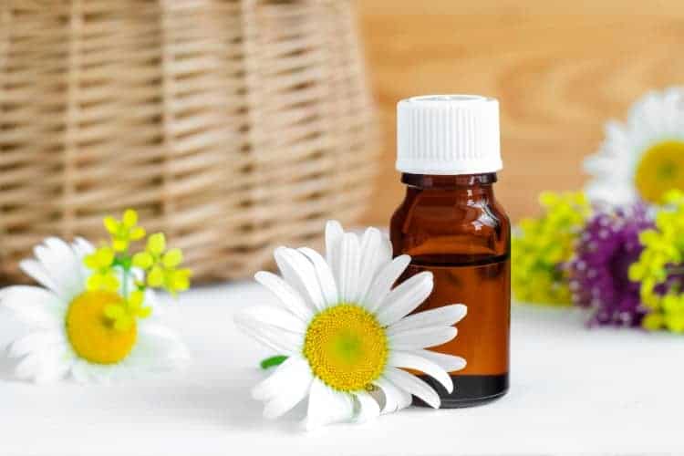 essential oils that are safe for the face chamomile