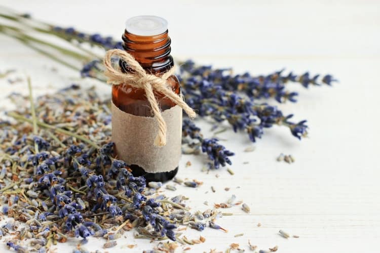 essential oils that help menstrual cramps lavender