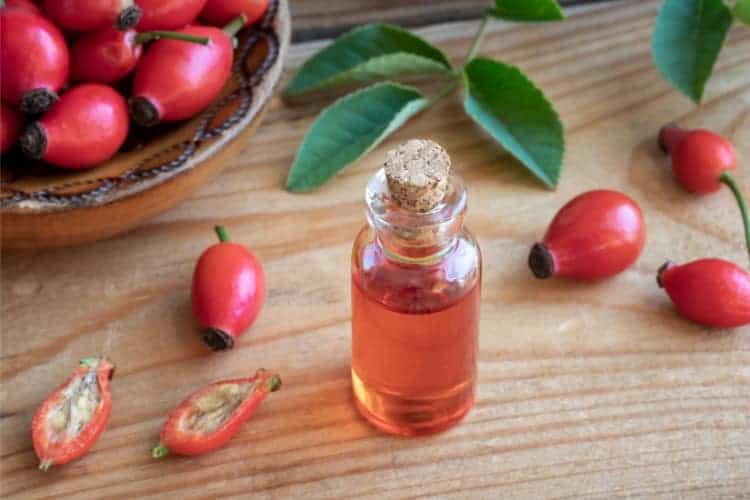 How To Add Rosehip Oil To Your Skin Care Routine: 7 Easy Tips