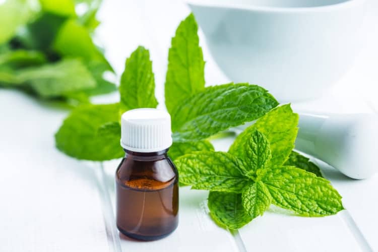 mint essential oils for menstrual cramps