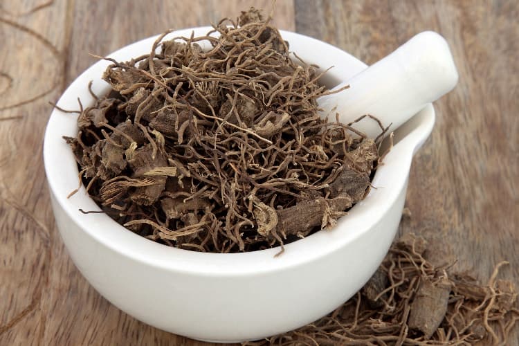 black cohosh in a bowl