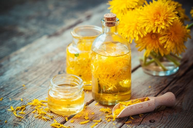 dandelions in bottle and jar