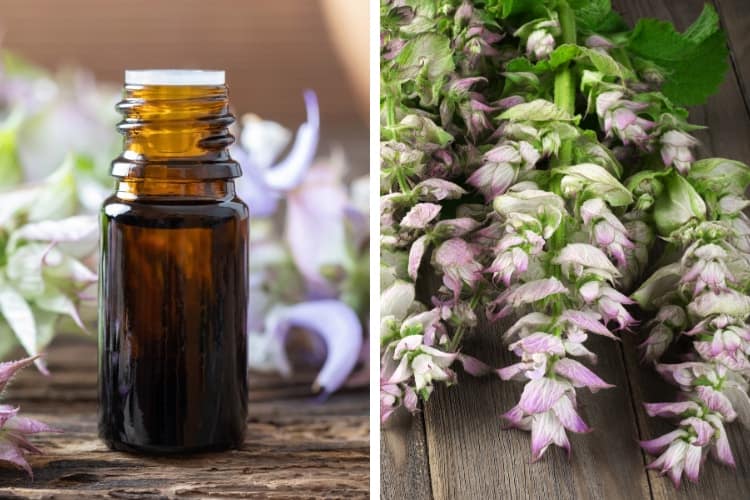 how to use clary sage oil for hormone balance