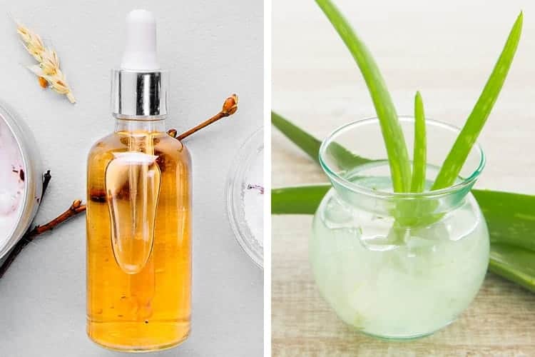 Vitamin C Serum vs Aloe Vera Gel: Benefits, Differences, Which Is Better and How to Use