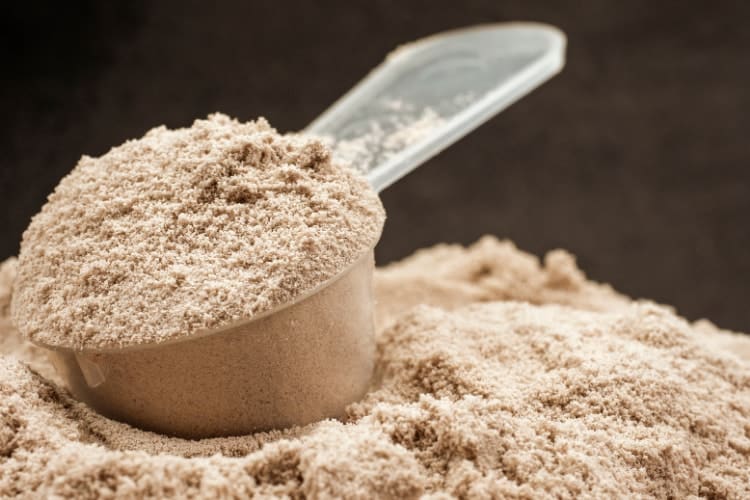 does whey protein affect estrogen