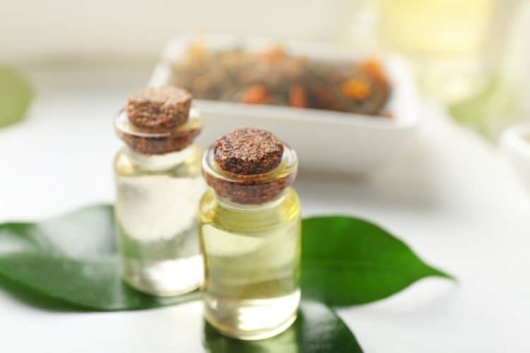 how to use tea tree oil in your skin care routine