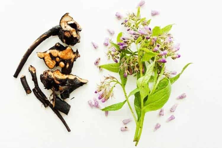 natural ingredients that are good for dry skin - comfrey root and flowers