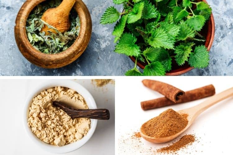 10 Powerful Herbs for Menopause Weight Gain (+ Best Supplements for 2023)