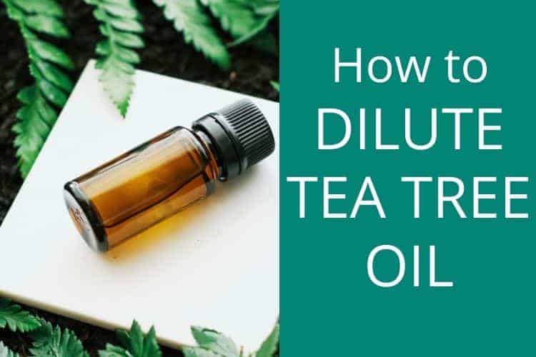 how to dilute tea tree oil for acne