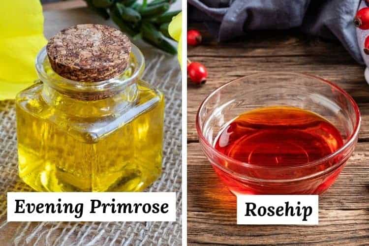 evening primrose oil vs rosehip oil