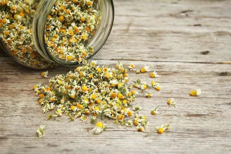 benefits of chamomile tea for acne prone skin