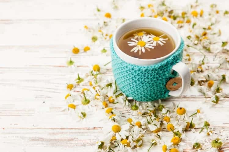 how to use chamomile tea for acne on face