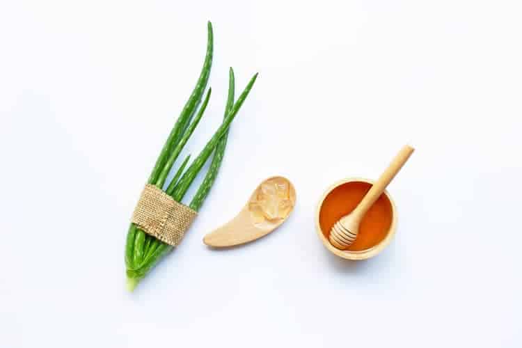 Honey vs Aloe Vera for Face: Benefits, Best Ways To Use and Recipes