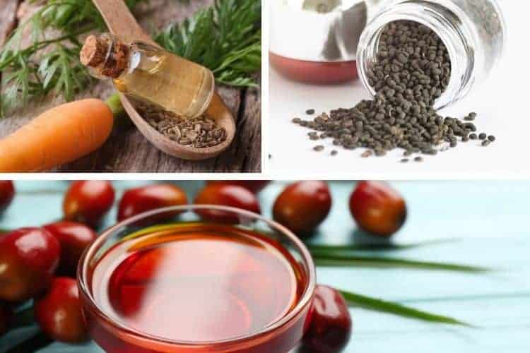 collage showing the best natural alternatives to retinol - carrot oil and seeds, bakuchiol seeds spilling out of a jar and red palm oil in glass bowl