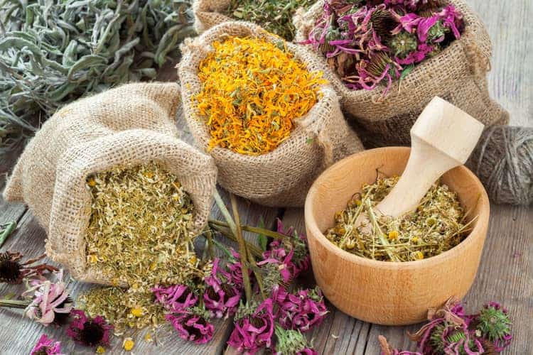 how to use herbs, essential oils and other ingredients for face steaming