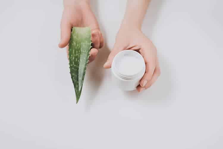 woman's hands holding aloe vera leaf and a jar of cream