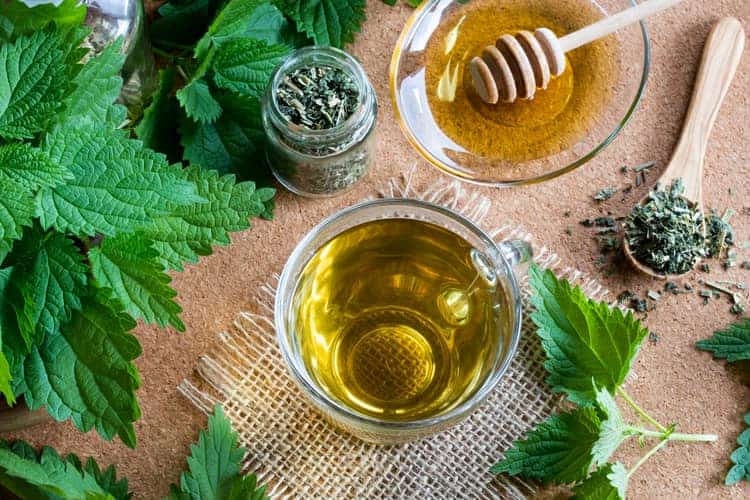 herbal tea that balance female hormones - stinging nettle