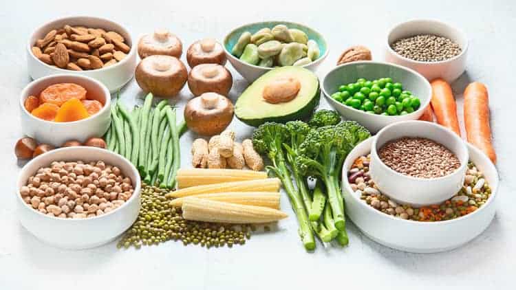 plant sources of protein for pcos