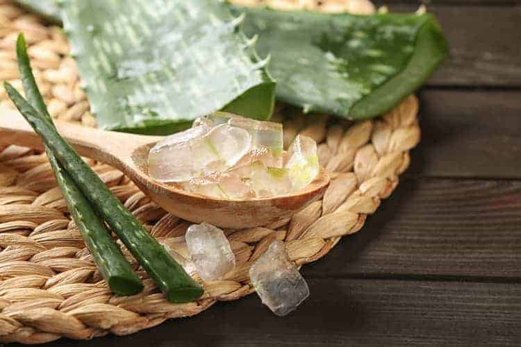 best exfoliator for rosacea - aloe vera slices and leaves