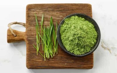 10 Best Greens Powders for Bloating (2024 update)