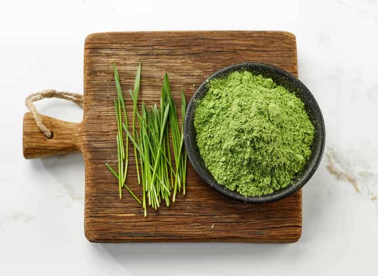 wheatgrass powder in a bowl with sprouts